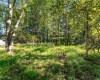 784 Fairmont Road, Westover, West Virginia 26501, 0 , 0 ,0,Lots/land,For Sale,Fairmont,0,10167307