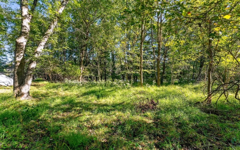 784 Fairmont Road, Westover, West Virginia 26501, 0 , 0 ,0,Lots/land,For Sale,Fairmont,0,10167307