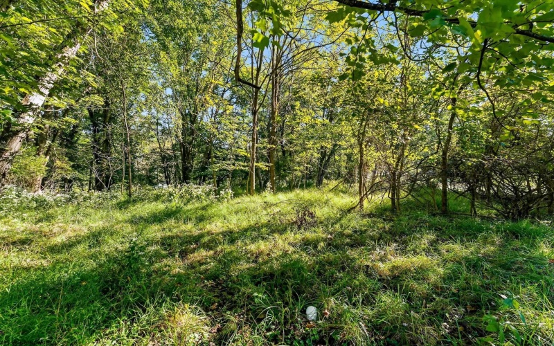 784 Fairmont Road, Westover, West Virginia 26501, 0 , 0 ,0,Lots/land,For Sale,Fairmont,0,10167307
