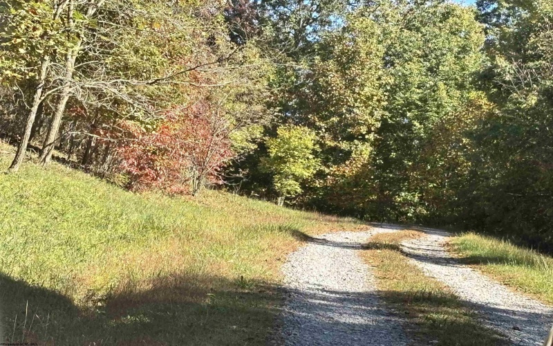142 Mountain View Lane, Philippi, West Virginia 26416, 3 Bedroom Bedrooms, 5 Room Rooms,2 BathroomBathrooms,Single Family Detached,For Sale,Mountain View,0,10167322