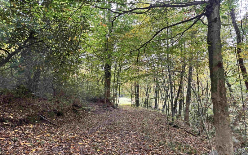 97 Indian Oaks Lane, Belington, West Virginia 26250, 2 Bedroom Bedrooms, 4 Room Rooms,2 BathroomBathrooms,Single Family Detached,For Sale,Indian Oaks,0,10167357