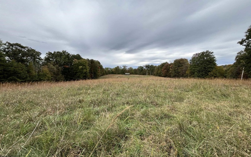 97 Indian Oaks Lane, Belington, West Virginia 26250, 2 Bedroom Bedrooms, 4 Room Rooms,2 BathroomBathrooms,Single Family Detached,For Sale,Indian Oaks,0,10167357