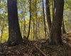 TBD Channell Road, Mill Creek, West Virginia 26280, 0 , 0 ,0,Lots/land,For Sale,Channell,0,10167359