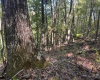 TBD Channell Road, Mill Creek, West Virginia 26280, 0 , 0 ,0,Lots/land,For Sale,Channell,0,10167359