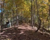 TBD Channell Road, Mill Creek, West Virginia 26280, 0 , 0 ,0,Lots/land,For Sale,Channell,0,10167359