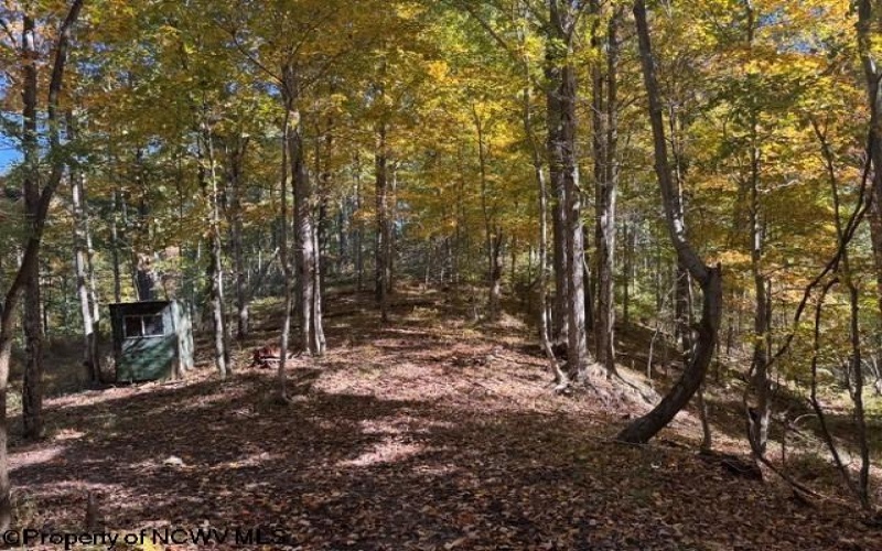 TBD Channell Road, Mill Creek, West Virginia 26280, 0 , 0 ,0,Lots/land,For Sale,Channell,0,10167359