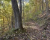 TBD Channell Road, Mill Creek, West Virginia 26280, 0 , 0 ,0,Lots/land,For Sale,Channell,0,10167359