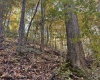TBD Channell Road, Mill Creek, West Virginia 26280, 0 , 0 ,0,Lots/land,For Sale,Channell,0,10167359