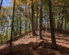 TBD Channell Road, Mill Creek, West Virginia 26280, 0 , 0 ,0,Lots/land,For Sale,Channell,0,10167359