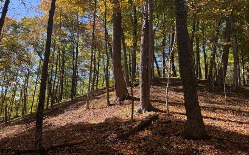 TBD Channell Road, Mill Creek, West Virginia 26280, 0 , 0 ,0,Lots/land,For Sale,Channell,0,10167359