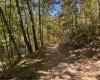 TBD Channell Road, Mill Creek, West Virginia 26280, 0 , 0 ,0,Lots/land,For Sale,Channell,0,10167359