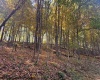 TBD Channell Road, Mill Creek, West Virginia 26280, 0 , 0 ,0,Lots/land,For Sale,Channell,0,10167359