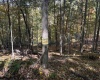 TBD Channell Road, Mill Creek, West Virginia 26280, 0 , 0 ,0,Lots/land,For Sale,Channell,0,10167359