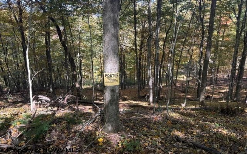 TBD Channell Road, Mill Creek, West Virginia 26280, 0 , 0 ,0,Lots/land,For Sale,Channell,0,10167359