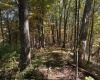 TBD Channell Road, Mill Creek, West Virginia 26280, 0 , 0 ,0,Lots/land,For Sale,Channell,0,10167359
