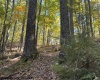 TBD Channell Road, Mill Creek, West Virginia 26280, 0 , 0 ,0,Lots/land,For Sale,Channell,0,10167359