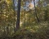 TBD Channell Road, Mill Creek, West Virginia 26280, 0 , 0 ,0,Lots/land,For Sale,Channell,0,10167359