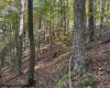 TBD Channell Road, Mill Creek, West Virginia 26280, 0 , 0 ,0,Lots/land,For Sale,Channell,0,10167359