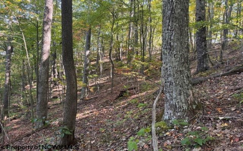 TBD Channell Road, Mill Creek, West Virginia 26280, 0 , 0 ,0,Lots/land,For Sale,Channell,0,10167359