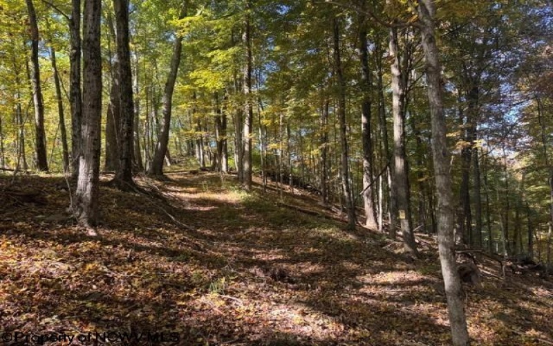 TBD Channell Road, Mill Creek, West Virginia 26280, 0 , 0 ,0,Lots/land,For Sale,Channell,0,10167359
