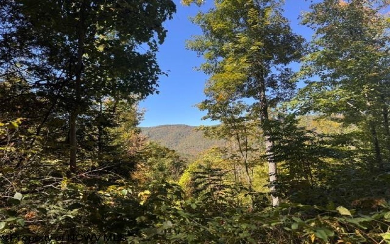 TBD Channell Road, Mill Creek, West Virginia 26280, 0 , 0 ,0,Lots/land,For Sale,Channell,0,10167359