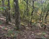 TBD Channell Road, Mill Creek, West Virginia 26280, 0 , 0 ,0,Lots/land,For Sale,Channell,0,10167359