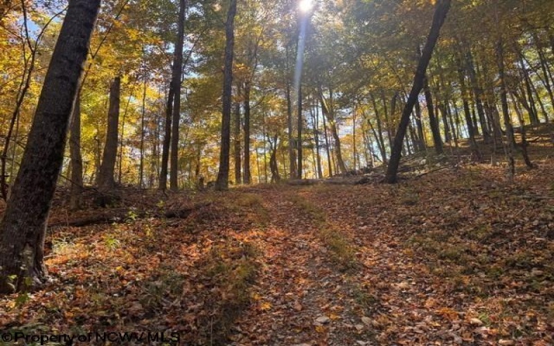 TBD Channell Road, Mill Creek, West Virginia 26280, 0 , 0 ,0,Lots/land,For Sale,Channell,0,10167359