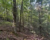 TBD Channell Road, Mill Creek, West Virginia 26280, 0 , 0 ,0,Lots/land,For Sale,Channell,0,10167359