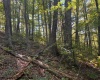 TBD Channell Road, Mill Creek, West Virginia 26280, 0 , 0 ,0,Lots/land,For Sale,Channell,0,10167359