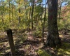 TBD Channell Road, Mill Creek, West Virginia 26280, 0 , 0 ,0,Lots/land,For Sale,Channell,0,10167359