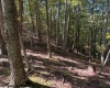 TBD Channell Road, Mill Creek, West Virginia 26280, 0 , 0 ,0,Lots/land,For Sale,Channell,0,10167359