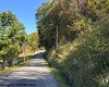 TBD Channell Road, Mill Creek, West Virginia 26280, 0 , 0 ,0,Lots/land,For Sale,Channell,0,10167359