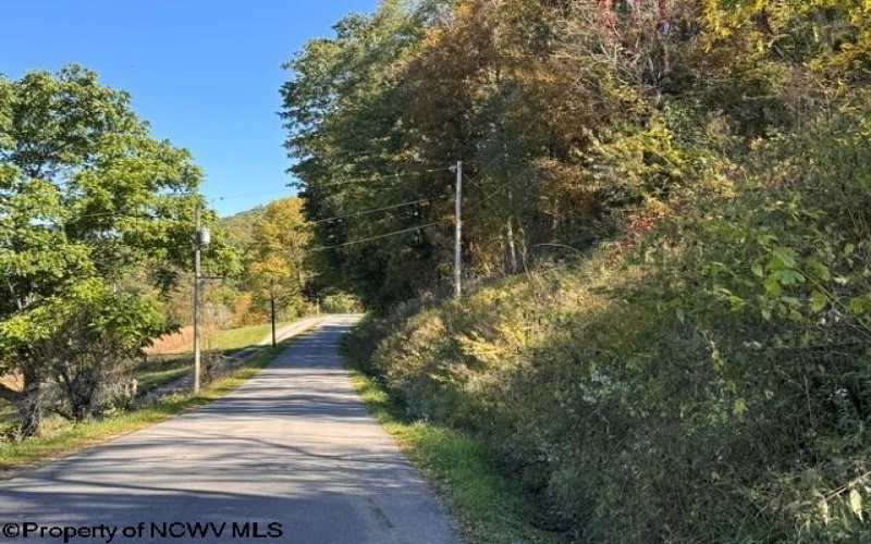 TBD Channell Road, Mill Creek, West Virginia 26280, 0 , 0 ,0,Lots/land,For Sale,Channell,0,10167359