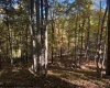 TBD Channell Road, Mill Creek, West Virginia 26280, 0 , 0 ,0,Lots/land,For Sale,Channell,0,10167359