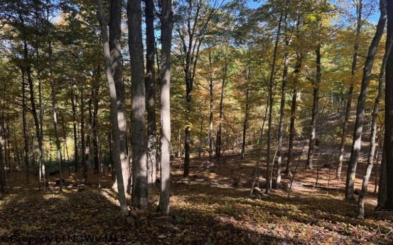 TBD Channell Road, Mill Creek, West Virginia 26280, 0 , 0 ,0,Lots/land,For Sale,Channell,0,10167359