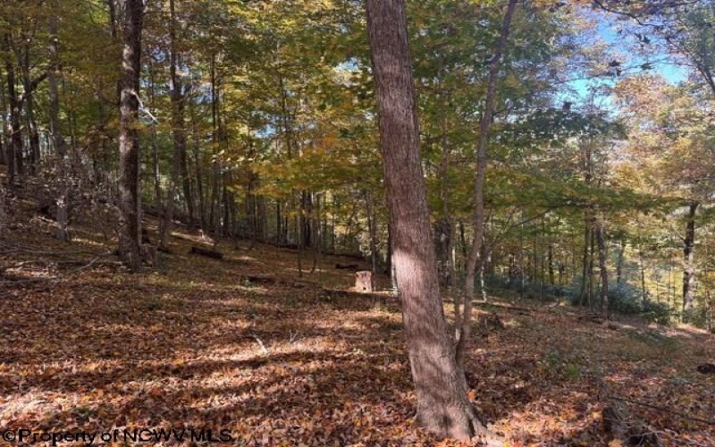 TBD Channell Road, Mill Creek, West Virginia 26280, 0 , 0 ,0,Lots/land,For Sale,Channell,0,10167359