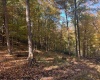 TBD Channell Road, Mill Creek, West Virginia 26280, 0 , 0 ,0,Lots/land,For Sale,Channell,0,10167359