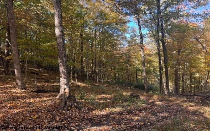 TBD Channell Road, Mill Creek, West Virginia 26280, 0 , 0 ,0,Lots/land,For Sale,Channell,0,10167359
