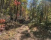 TBD Channell Road, Mill Creek, West Virginia 26280, 0 , 0 ,0,Lots/land,For Sale,Channell,0,10167359