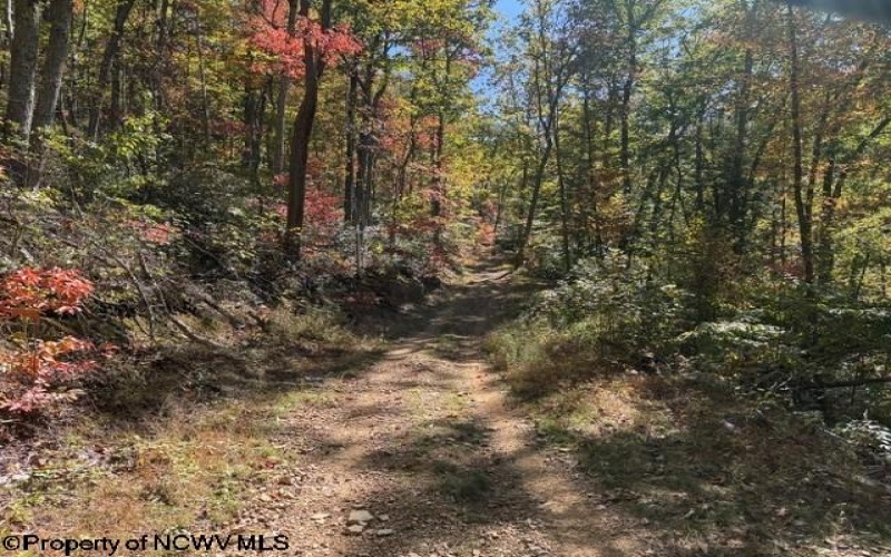 TBD Channell Road, Mill Creek, West Virginia 26280, 0 , 0 ,0,Lots/land,For Sale,Channell,0,10167359