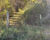 TBD Channell Road, Mill Creek, West Virginia 26280, 0 , 0 ,0,Lots/land,For Sale,Channell,0,10167359