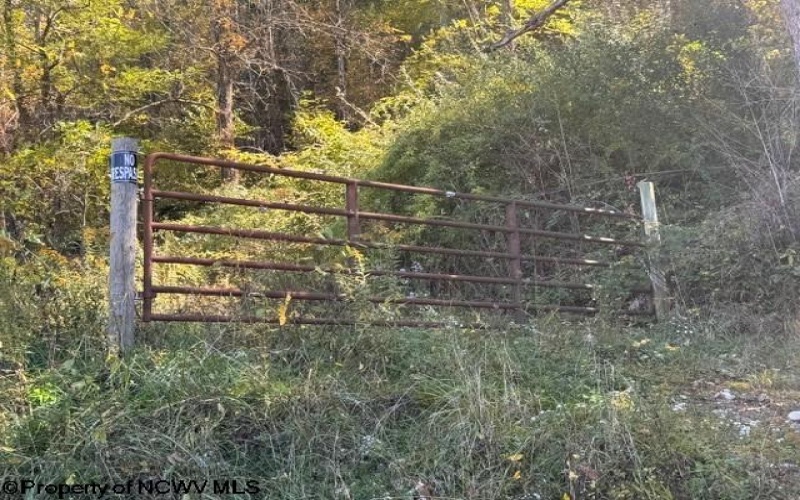 TBD Channell Road, Mill Creek, West Virginia 26280, 0 , 0 ,0,Lots/land,For Sale,Channell,0,10167359