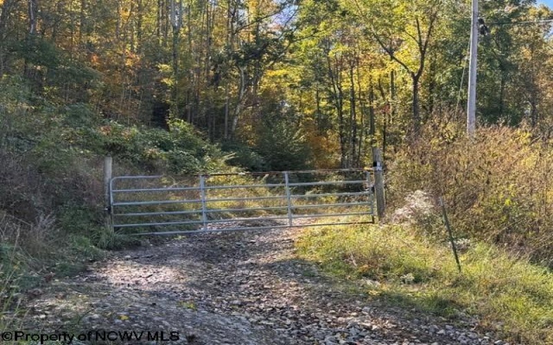 TBD Channell Road, Mill Creek, West Virginia 26280, 0 , 0 ,0,Lots/land,For Sale,Channell,0,10167359