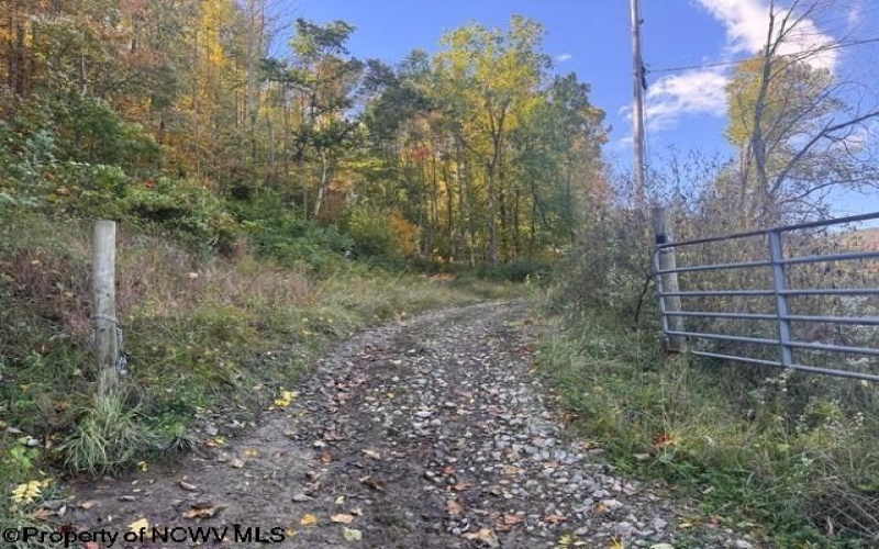 TBD Channell Road, Mill Creek, West Virginia 26280, 0 , 0 ,0,Lots/land,For Sale,Channell,0,10167359
