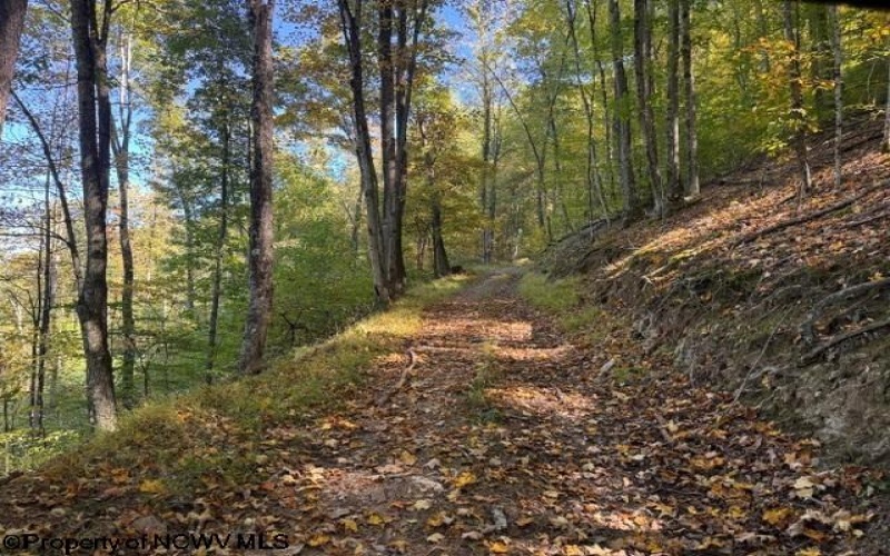TBD Channell Road, Mill Creek, West Virginia 26280, 0 , 0 ,0,Lots/land,For Sale,Channell,0,10167359