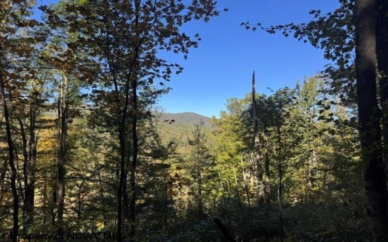 TBD Channell Road, Mill Creek, West Virginia 26280, 0 , 0 ,0,Lots/land,For Sale,Channell,0,10167359