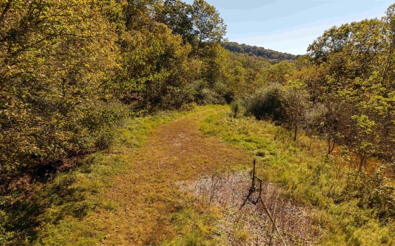 3847 Crooked Fork Road, Walkersville, West Virginia 26447, 0 , 0 ,0,Lots/land,For Sale,Crooked Fork,0,10167362