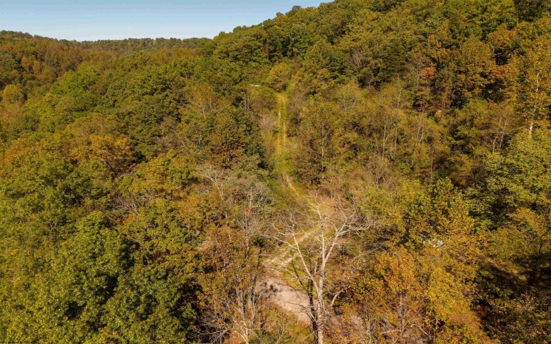 3847 Crooked Fork Road, Walkersville, West Virginia 26447, 0 , 0 ,0,Lots/land,For Sale,Crooked Fork,0,10167362