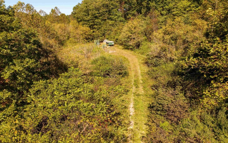 3847 Crooked Fork Road, Walkersville, West Virginia 26447, 0 , 0 ,0,Lots/land,For Sale,Crooked Fork,0,10167362