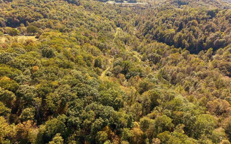 3847 Crooked Fork Road, Walkersville, West Virginia 26447, 0 , 0 ,0,Lots/land,For Sale,Crooked Fork,0,10167362